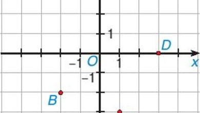 Toán 8 Bài 27: Khái niệm hàm số và đồ thị của hàm số Giải Toán 8 Kết nối tri thức tập 2 trang 40, 41, 42, 43, 44, 45, 46