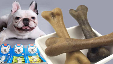 Top 11 xương cho chó gặm bổ sung canxi, sạch răng tốt nhất thị trường
