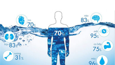 Vai trò của nước đối với cơ thể con người. Nhu cầu nước theo từng lứa tuổi