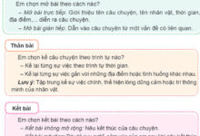 Viết: Viết bài văn kể chuyện – Tiếng Việt 4 Chân trời sáng tạo Tiếng Việt lớp 4 Chân trời sáng tạo tập 1 Bài 7