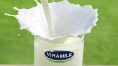 Vinamilk và TH True Milk sữa nào tốt hơn?