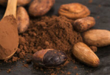 Cacao có tác dụng gì và có nên cho trẻ dùng?