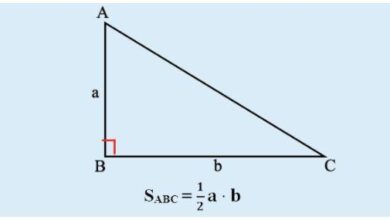 Công Thức Tính Diện Tích Tam Giác Vuông, Đều, Tam Giác Cân