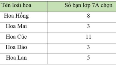 Đề cương ôn tập giữa học kì 2 môn Toán 7 sách Cánh diều Ôn tập giữa kì 2 Toán 7