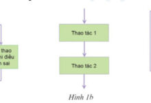 Đề cương ôn tập học kì 2 môn Tin học 6 sách Cánh diều Ôn thi học kì 2 lớp 6 môn Tin năm 2022 – 2023