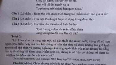 Đề thi vào 10 môn Ngữ văn năm 2023 – 2024 sở GD&ĐT Bình Thuận Đáp án đề thi vào lớp 10 môn Văn năm 2023