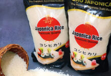 Gạo Japonica là gạo gì? Có ngon không, mua ở đâu?