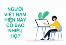 Hiện nay, số họ của người Việt Nam là bao nhiêu?
