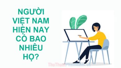Hiện nay, số họ của người Việt Nam là bao nhiêu?