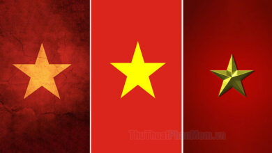 Hình nền Quốc kỳ Việt Nam và cờ Việt Nam đẹp dành cho điện thoại.