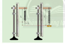 KHTN Lớp 6 Bài 39: Biến dạng của lò xo. Phép đo lực Giải sách Khoa học tự nhiên lớp 6 Chân trời sáng tạo trang 168