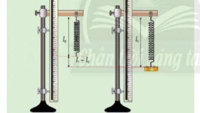 KHTN Lớp 6 Bài 39: Biến dạng của lò xo. Phép đo lực Giải sách Khoa học tự nhiên lớp 6 Chân trời sáng tạo trang 168