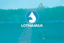 Lothamilk – Sữa Long Thành trứ danh, thơm ngon béo ngậy