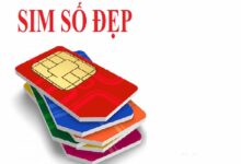 Sim Đại Phát sẽ cung cấp sim số đẹp giá rẻ cho xu thế năm 2023