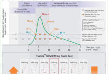 Sự thật về việc test nhanh có thể xác định giai đoạn nhiễm Covid-19