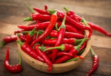 Tác dụng bất ngờ khi ăn ớt và những lưu ý để ăn ớt tốt cho sức khỏe