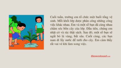 Tập làm văn lớp 2: Viết 3 – 5 câu kể lại việc em và các bạn chăm sóc cây Dàn ý & 16 đoạn văn mẫu lớp 2