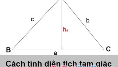 Tính diện tích tam giác chuẩn theo tiêu chuẩn năm 2023.