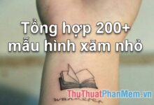 “Top 20 mẫu hình xăm nhỏ đẹp nhất cho năm 2023: Tổng hợp ưu điểm và ý nghĩa của từng hình”