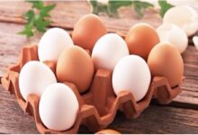 Trứng vỏ nâu, trứng vỏ trắng khác nhau như thế nào?
