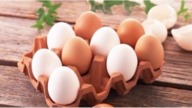 Trứng vỏ nâu, trứng vỏ trắng khác nhau như thế nào?