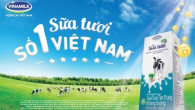 Vinamilk ra mắt sản phẩm sữa tươi chứa tổ yến lần đầu tiên có mặt tại Việt Nam